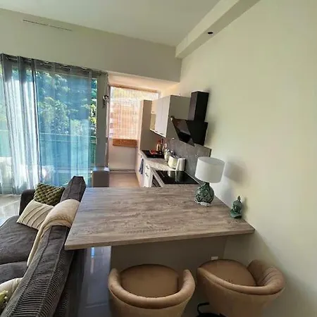 Superbe 2 Pieces Avec Terrasse Apartamento Menton